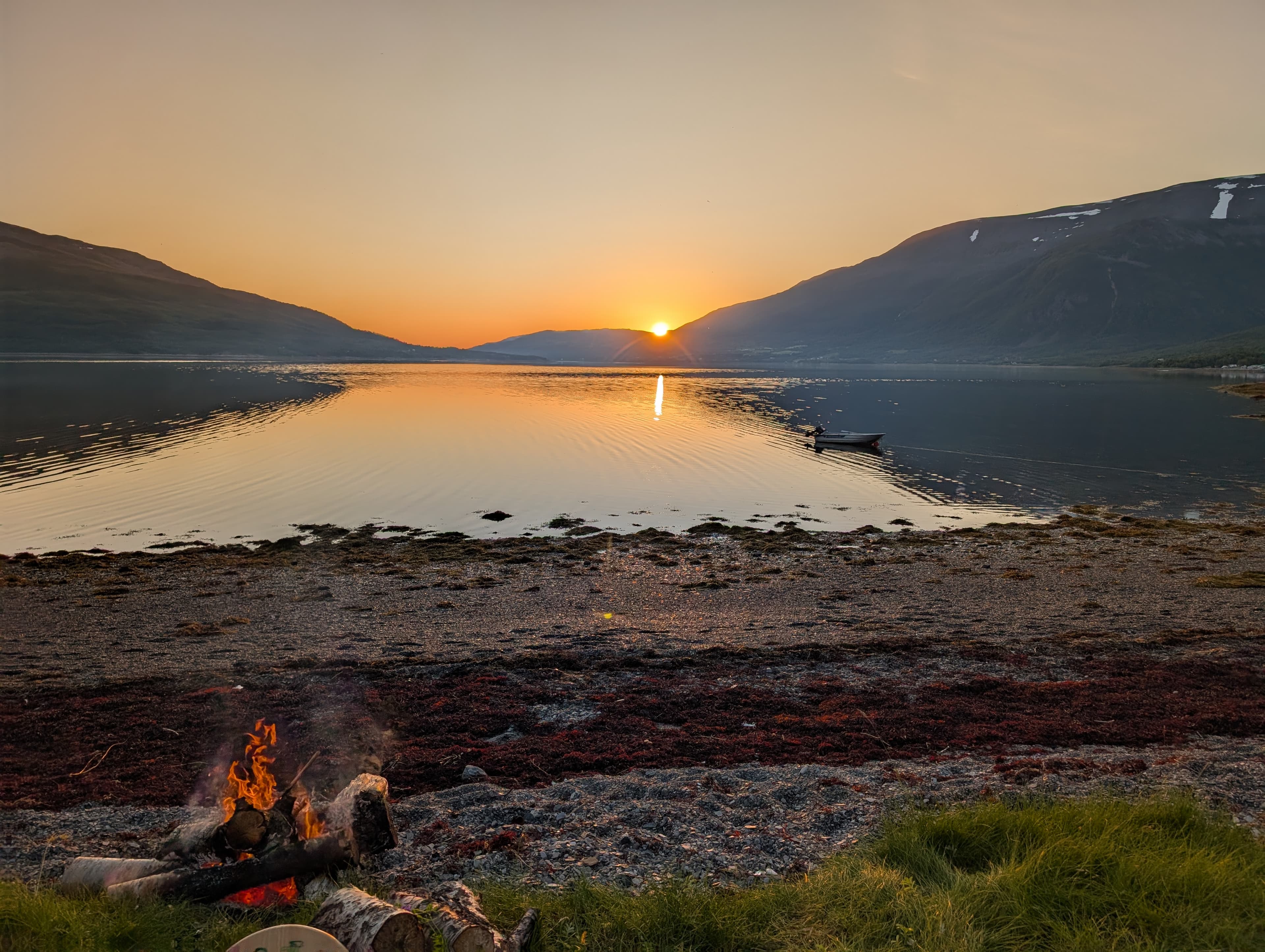 I am back, baby Cover Image for I am back, baby