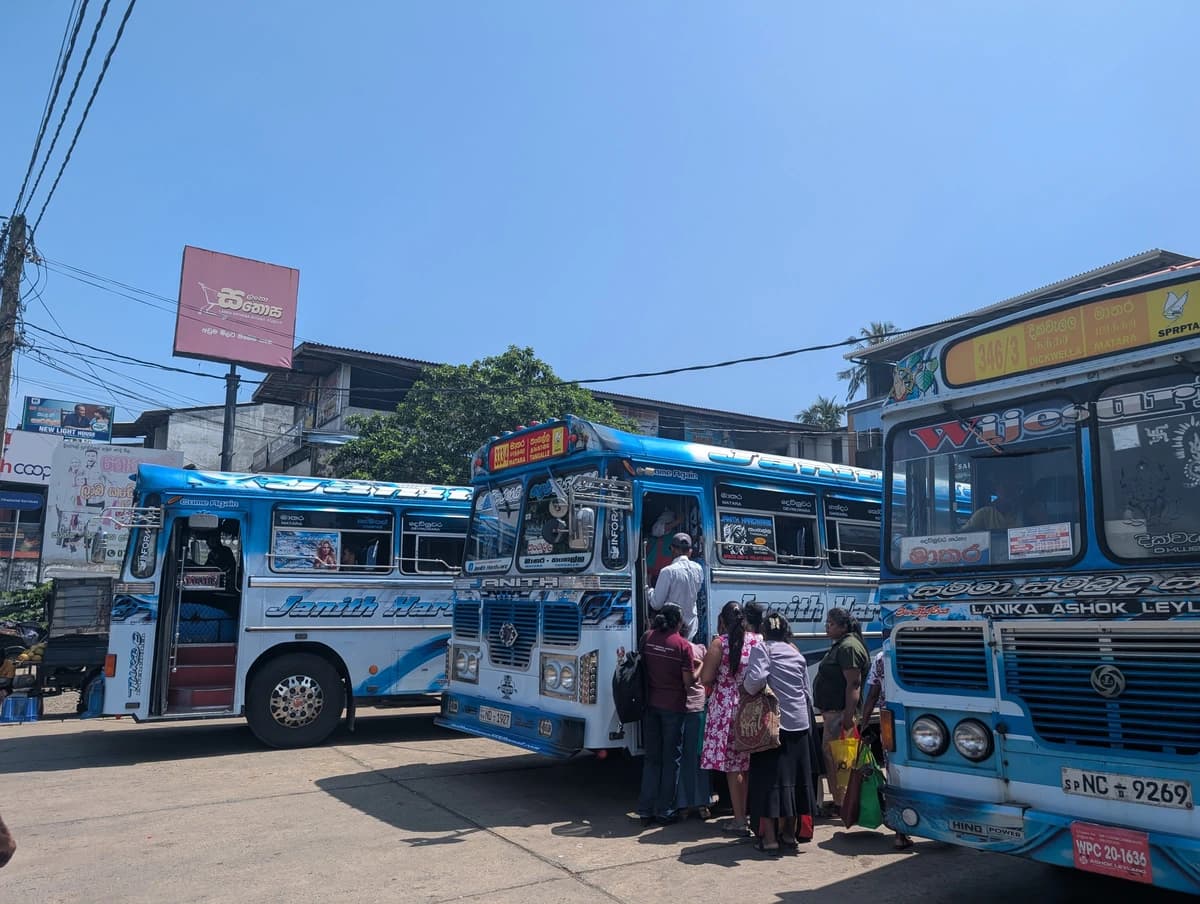 Modré autobusy Modré autobusy