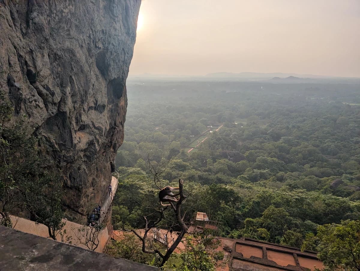 Výhled ze Sigiriyu Výhled ze Sigiriyu