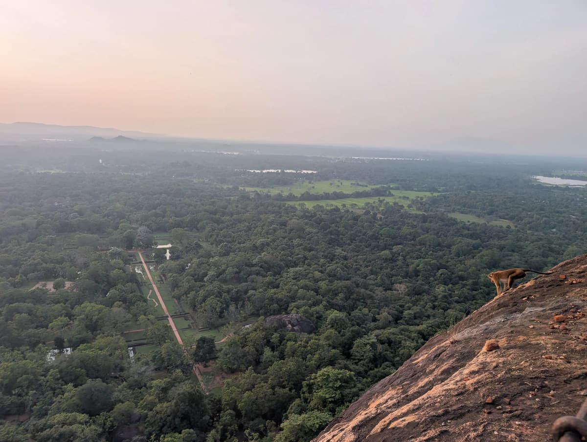 Výhled ze Sigiriyu Výhled ze Sigiriyu