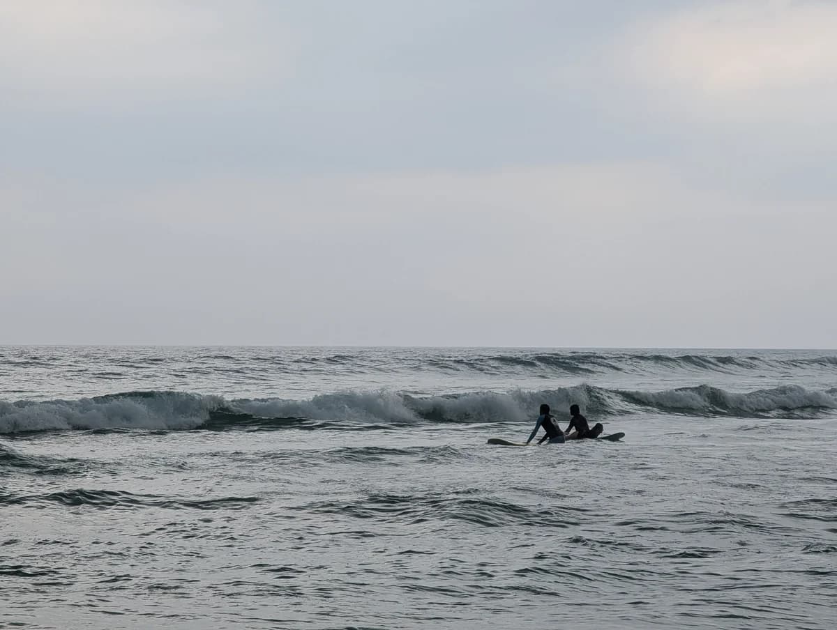 Surfování Surfování